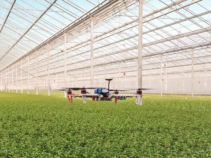 Innovación agrícola: aspectos jurídicos clave
