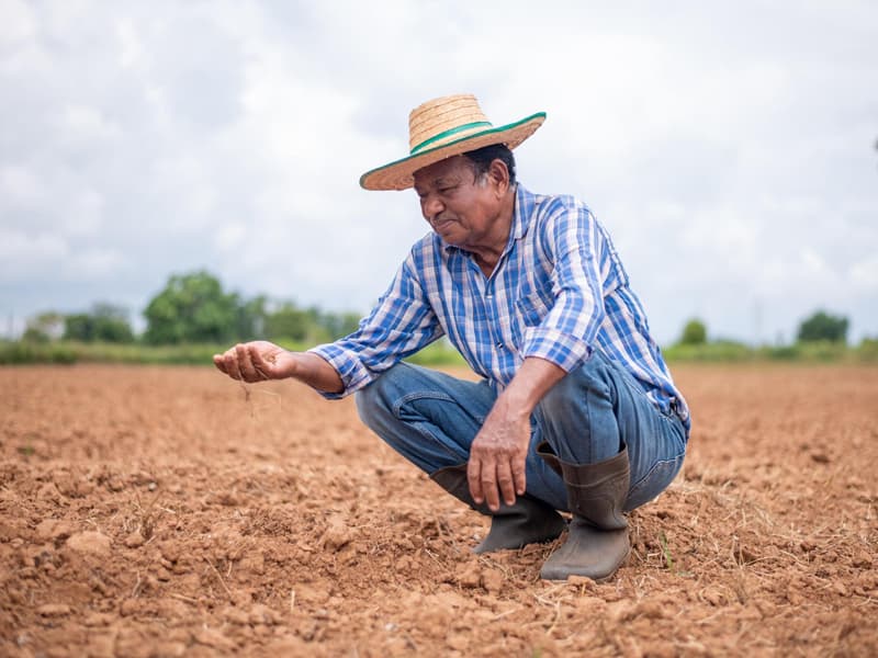 Sustainable agriculture: legal opportunities and obligations